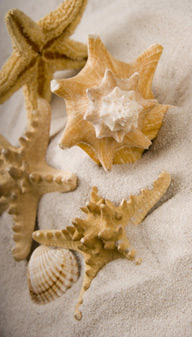 www.getmore-travel.de, Kundevorteile